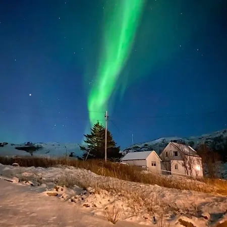 Skipperhuset Apartment *
